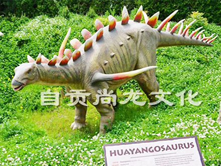 華陽龍